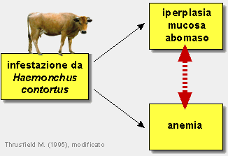 Epidemiologia veterinaria: tipi di associazioni (schema)