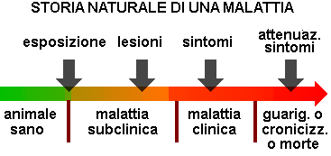 Storia naturale di una malattia