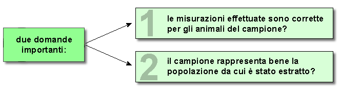 Epidemiologia veterinaria: caratteri del campione