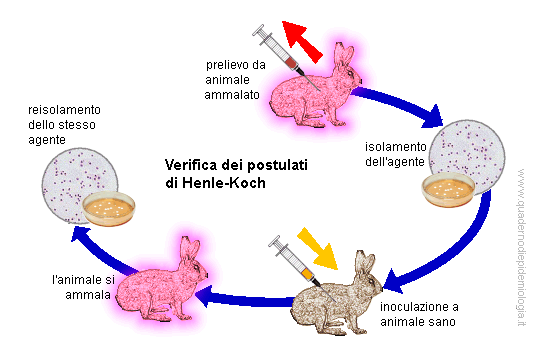 Epidemiologia veterinaria: postulati di Henle-Koch