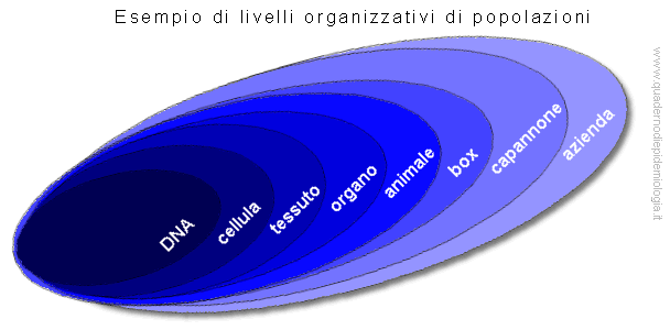livelli organizzativi di popolazioni