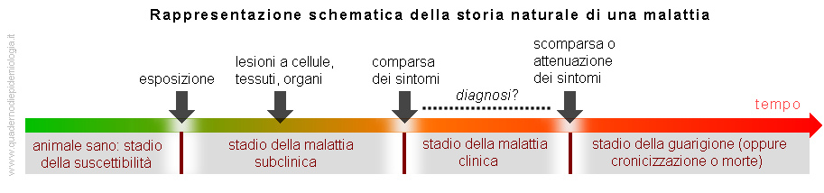Storia naturale di una malattia