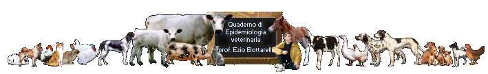 Quaderno di Epidemiologia - mappa del sito
