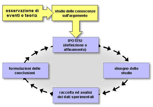 Epidemiologia veterinaria: schema del metodo scientifico (immagine animata)