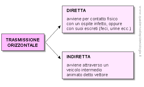 Epidemiologia veterinaria: trasmissione orizzontale