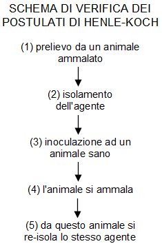 Epidemiologia veterinaria: postulati di Henle-Koch