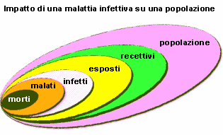 Epidemiologia veterinaria: popolazione a rischio