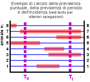 schema incidenza prevalenza