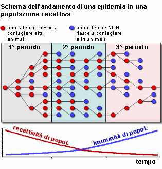 Epidemiologia veterinaria: andamento di una epidemia