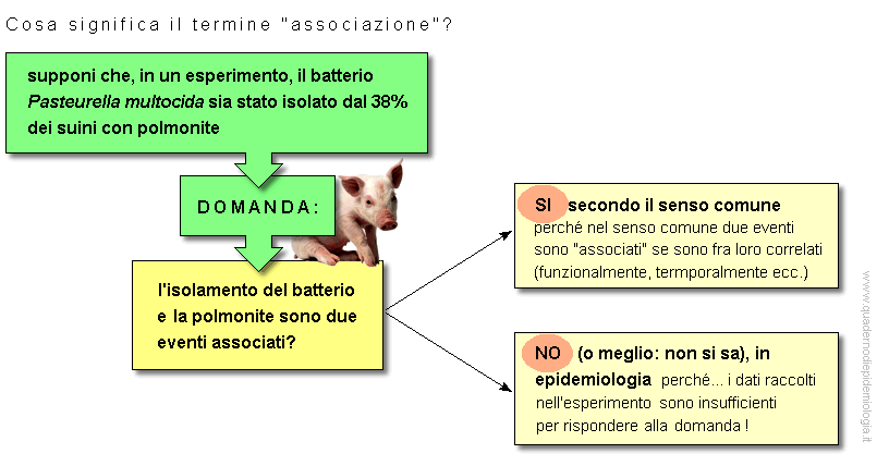 Associazione causale