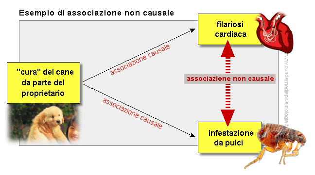 Epidemiologia veterinaria: esempio di associazione non causale