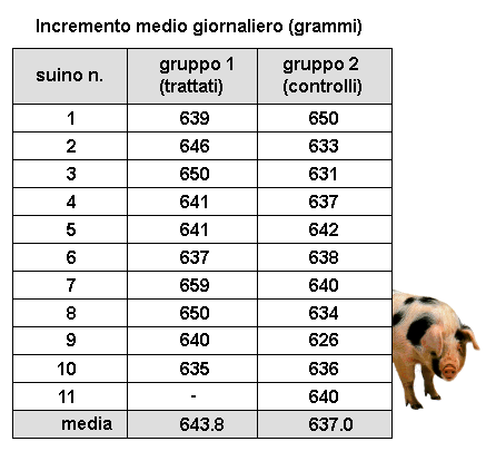 Tabella esempio formula T student