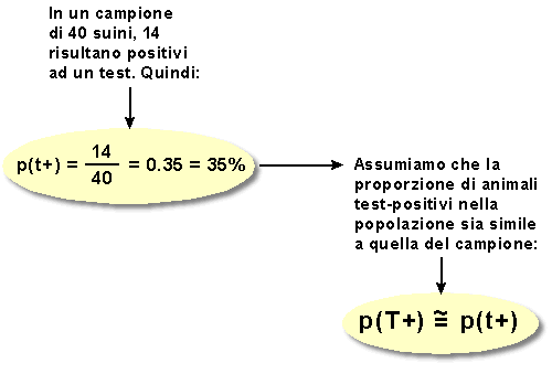 Epidemiologia veterinaria: calcolo della variabilità di una stima