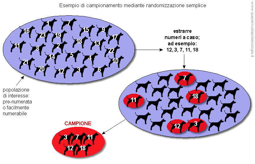 Epidemiologia veterinaria: randomizzazione semplice