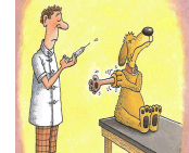 Epidemiologia veterinaria: campionamento