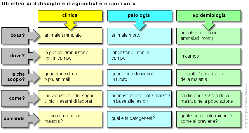 Epidemiologia veterinaria: obiettivi di 3 discipline diagnostiche
