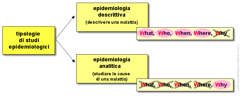 Epidemiologia veterinaria: obiettivi di uno studio epidemiologico