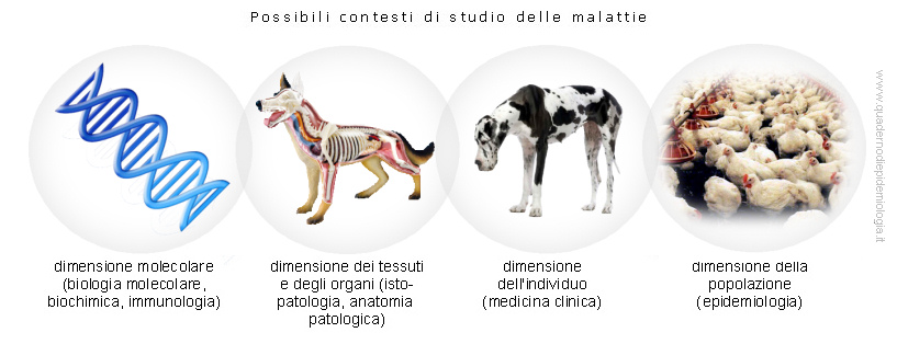 Epidemiologia veterinaria: definizione (2)