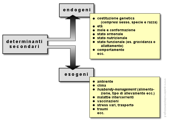 Epidemiologia veterinaria: determinanti secondari