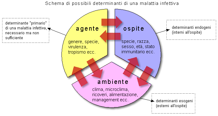 Epidemiologia veterinaria: determinanti di malattia