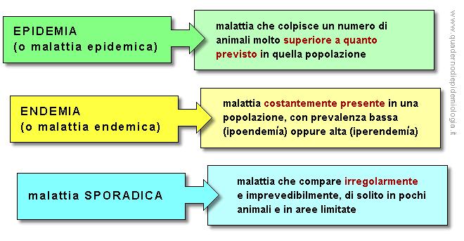 Epidemiologia veterinaria: malattia endemica, epidemica sporadica (schema)