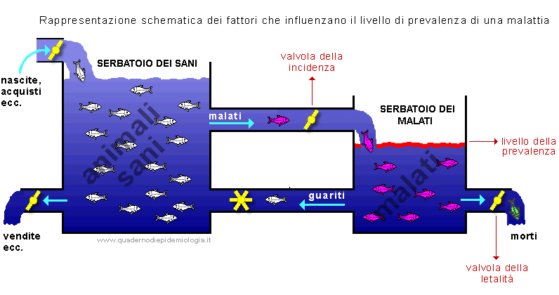 Epidemiologia veterinaria: relazione tra incidenza e prevalenza