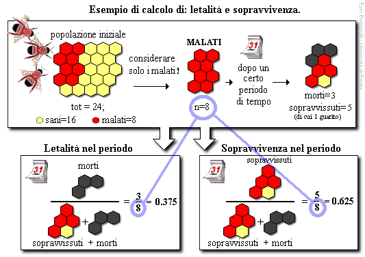 Epidemiologia veterinaria: sopravvivenza e letalità