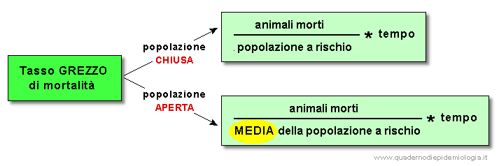 Epidemiologia veterinaria: tassi di mortalità (schema)