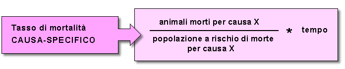 Epidemiologia veterinaria: tassi di mortalità (schema)