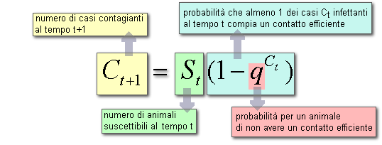 Epidemiologia veterinaria: modello di Reed e Frost (formula)