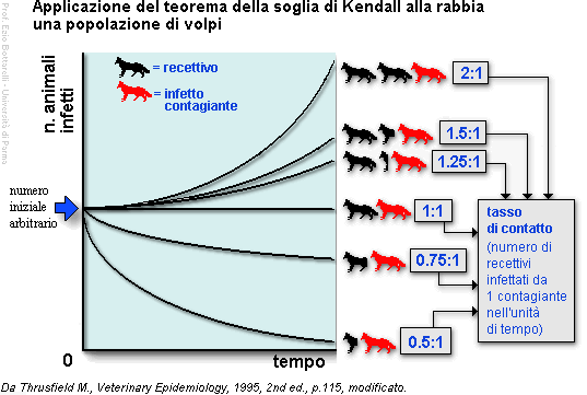 Epidemiologia veterinaria: teorema della soglia di Kendall
