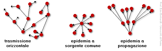 Epidemiologia veterinaria: tipi di epidemia