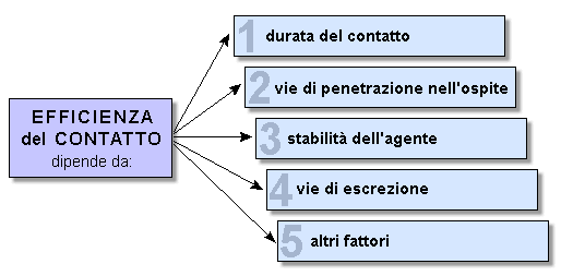 Epidemiologia veterinaria: diffusione delle infezioni ed efficienza del contatto