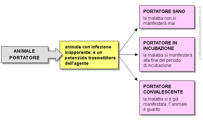 animale portatore
