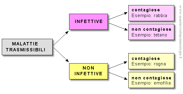 Epidemiologia veterinaria: malattie trasmissibili (schema)