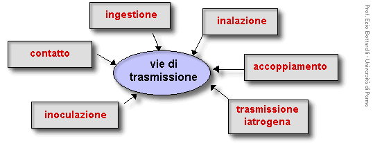 Epidemiologia veterinaria: modalità di trasmissione delle malattie (schema)