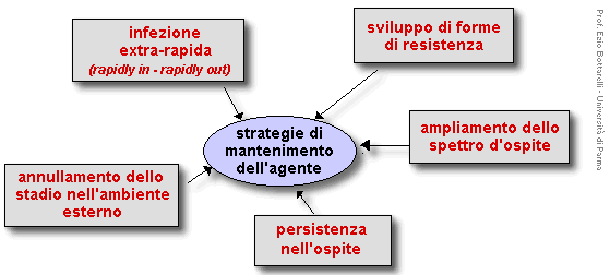 Epidemiologia veterinaria: stategie di mantenimento di un agente