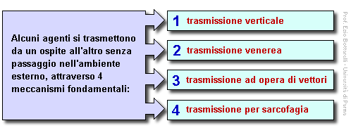 Epidemiologia veterinaria: strategie di mantenimento di un agente (2)