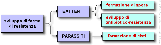 Epidemiologia veterinaria: forme di resistenza di un agente