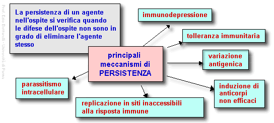 Epidemiologia veterinaria: persistenza di un agente nell'ospite