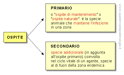 Epidemiologia veterinaria: ospite primario e secondario