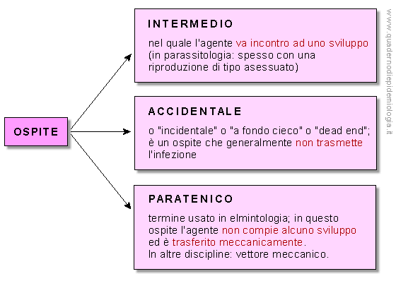 ospite intermedio, accidentale, paratenico