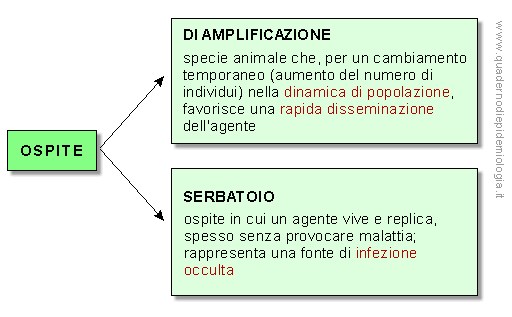 Epidemiologia veterinaria: ospite di amplificazione, serbatoio