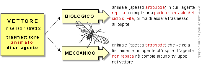 Epidemiologia veterinaria: Tipi di vettore