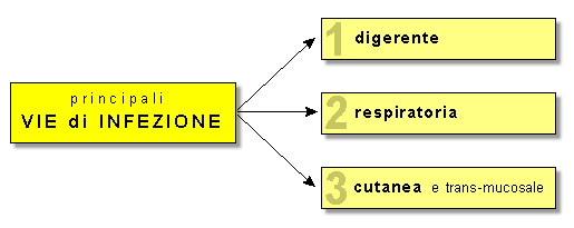 Epidemiologia veterinaria: vie di infezione (schema 2)